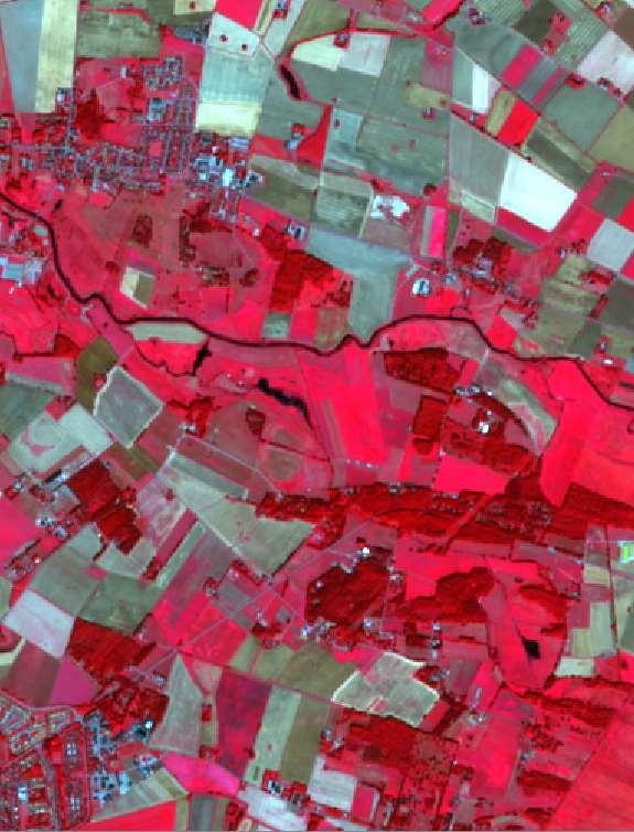 NDVI visar