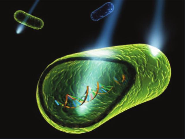 Fas Fyra: Dual Defense Purification System CleanLight UVC + Ozonvattenrening. Vårt Dual Defense Purification System renar vattnet naturligt lätt med energiskt syre.