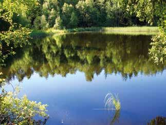 Den ses ofta patrullera längs långsamt rinnande vattendrag och där dessa mynnar ut i sjöar. Larvutvecklingen är tvåårig eller längre.