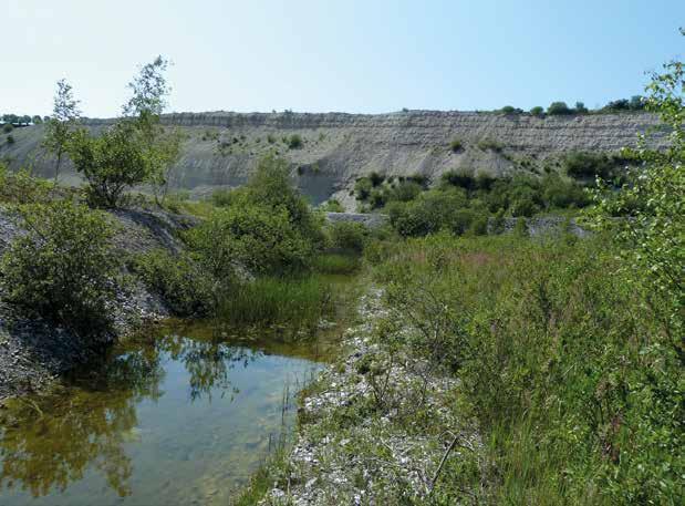 Slutligen finns det mer tillfälliga rapporter gjorda 2009 och 2011 från två angränsande rutor i ett område mellan Torna Hällestad och Vombsjön.