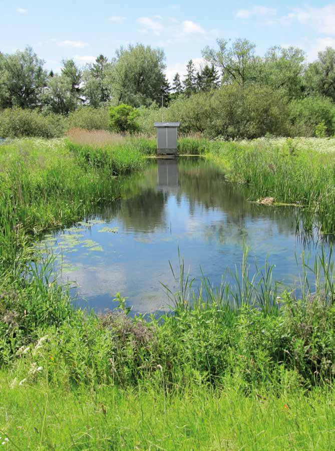 källby reningsverk, värpinge. foto: magnus billqvist English Summary Variable Bluet was noted from Skåne by Zetterstedt in 1840.