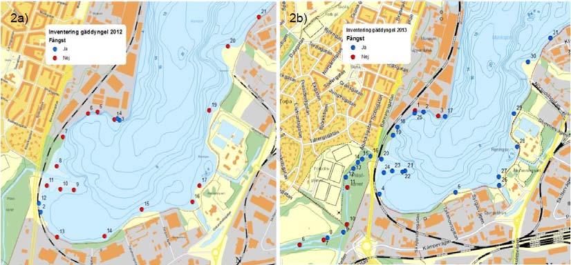 5.2 Naturmiljön 5.2.1 Förutsättningar Språngskiktet i Munksjön ligger på 4-5 meters djup under sensommaren.