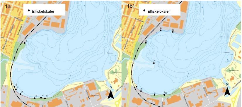 Det andra delmomentet i studien fokuserade på att undersöka våtmarkernas funktion som uppväxtområde för arter som abborre, gädda, gers, mört och lake.
