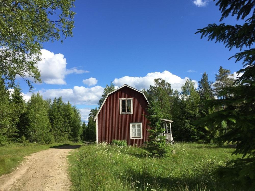 Loge, gäststuga samt förråd. Skoterled i anslutning till torpet. Jakträtt i Ovansjö VVO. Arealuppgifter enligt taxerad areal. Totalt 3 ha, fördelat på skog 2 ha, impediment 1 ha. Det finns 1 skiften.