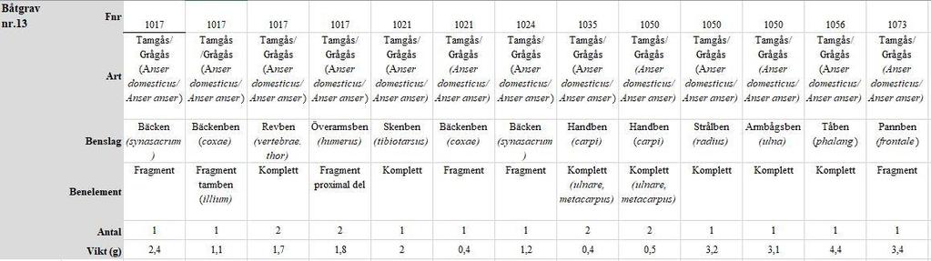 Det vänstra pannbenet (frontale) är arkeologiskt material och den högra är referensmaterial från Evolutionsmuseets samlingar. Foto, J. Jordahl 2018. 4.3.