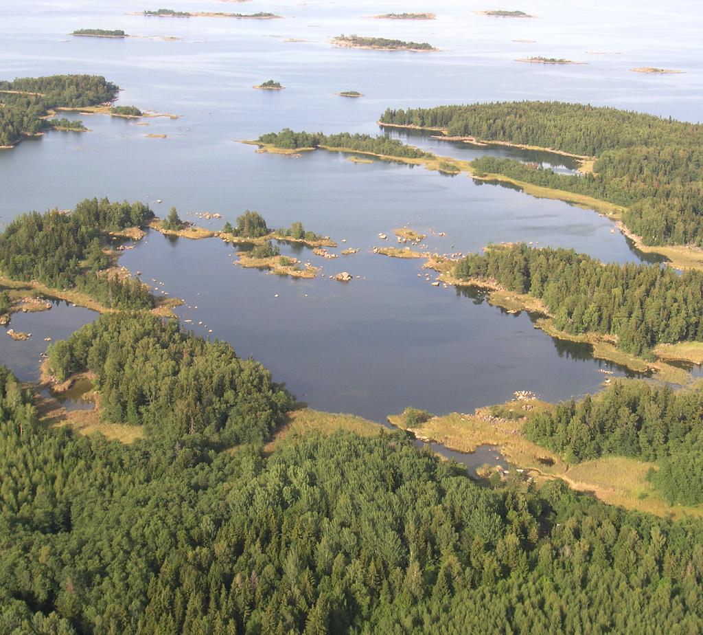Fiskrekrytering och undervattensvegetation i sex grunda havsvikar runt Forsmark och Furusund