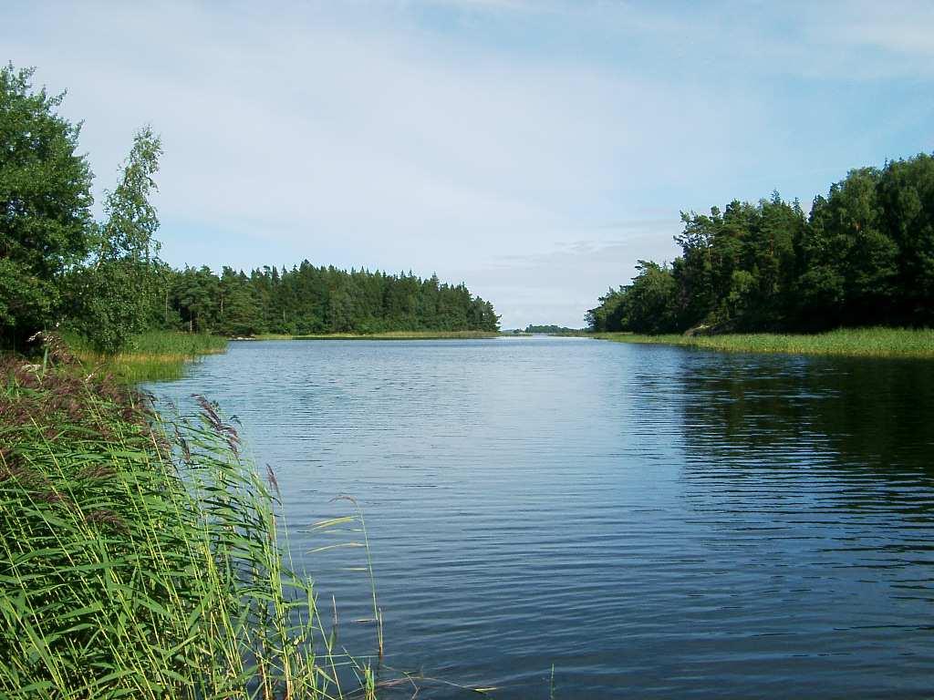 gäddfångsterna större än under perioden 2004-2008. Årsyngel av abborre har fångats alla sju år som viken besökts.