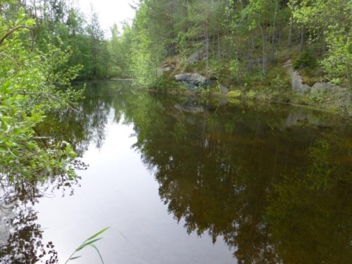 Eftersom Skrovsö inte ingick i inventeringsområdet kunde detta inte verifieras under de genomförda inventeringarna.