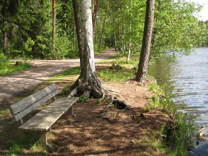 Gallträsks friluftsvärde har långsamt minskat i takt med att sjön har slammats igen och vattenväxtligheten ökat.