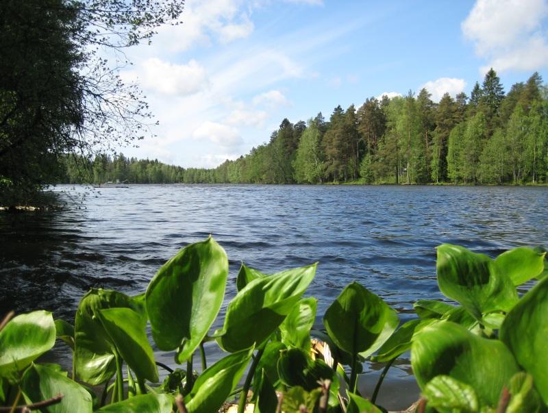 Efter tilläggsutredningar och kompletteringar av ansökan beviljades