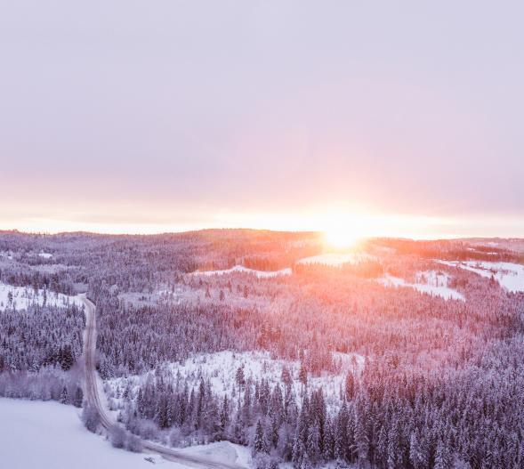 anslagstavla Nästa nummer Tema nästa nummer: Sofia Vinter Senast inlämningsdatum för material: 9 januari Nästa nummer kommer ut: 28 januari Vill du prenumerera på