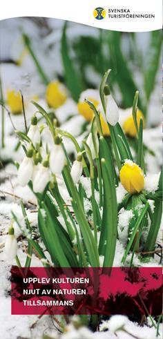 Möt våren med Rydells blommor Vi får en visuellt och sinnligt inspirerad visning av Rydells blommor, Stängselbodavägen 1 i Vallentuna, tisdagen den 13 februari kl. 12.30.