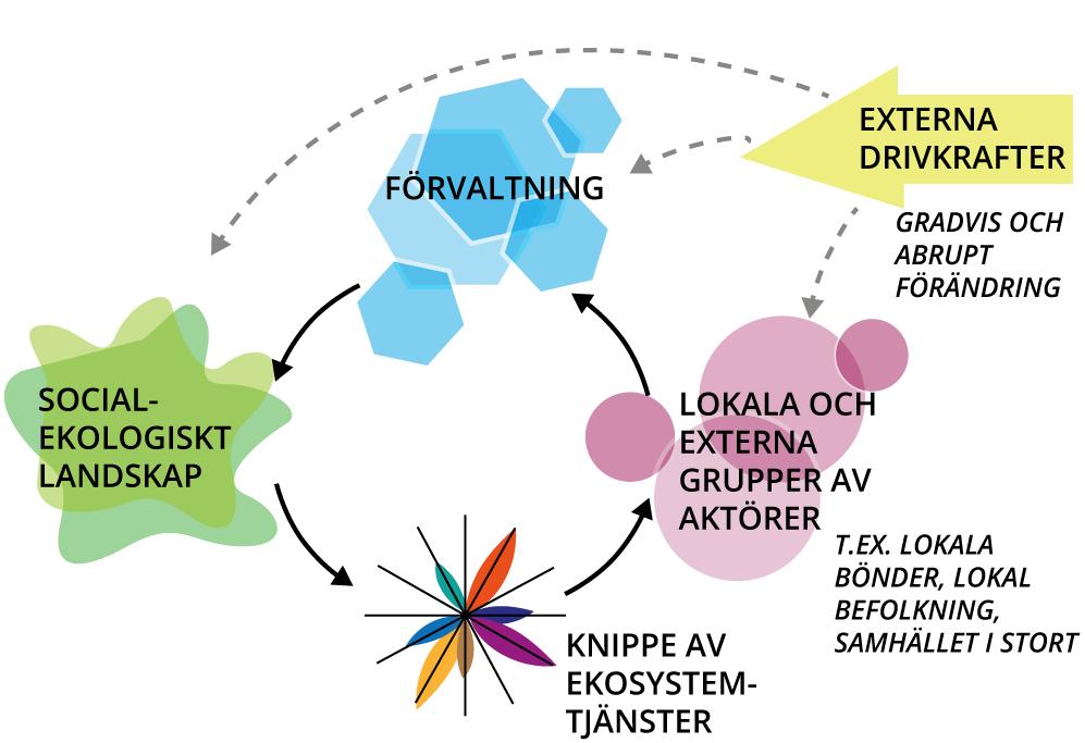 Tre knäckfrågor för en meningsfull implementering av ekosystemtjänstbegreppet 1) Förståelse av de ekologiska och sociala dimensionerna av EST 1) Lämna