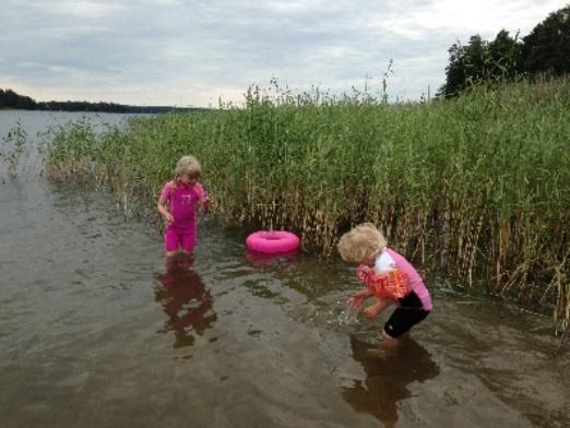 ekosystemtjänster och invasiva