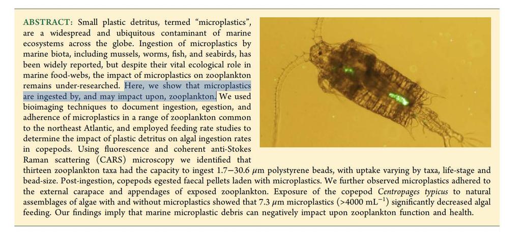 Relevanta halter? Cole, et al Microplas=c Inges=on by Zooplankton.