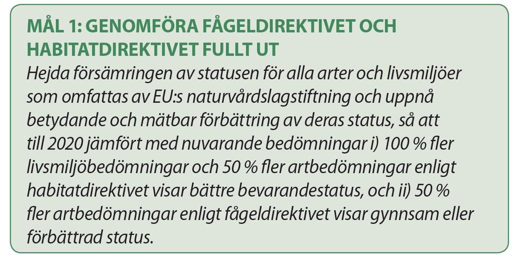 EU:s strategi för