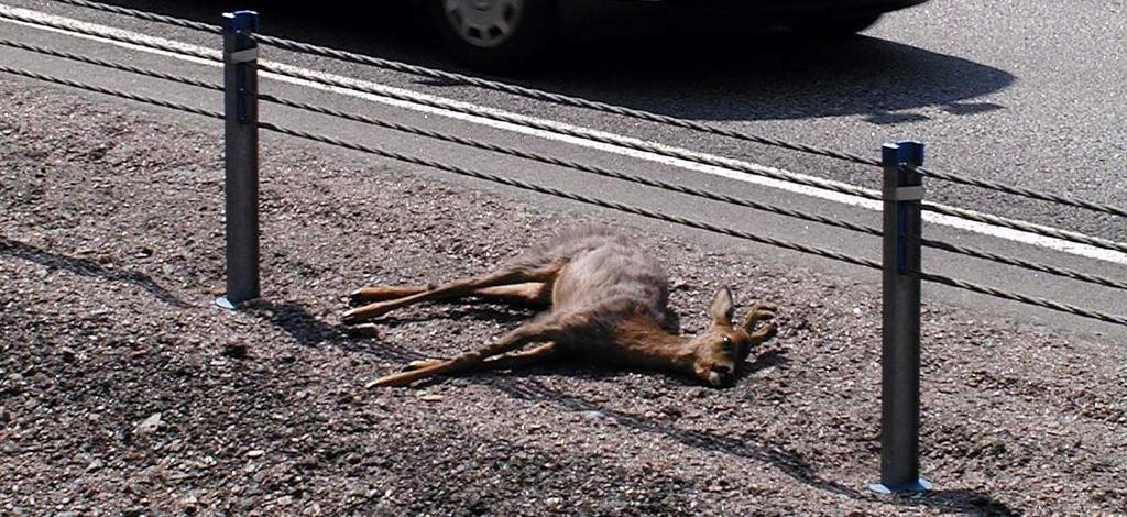 enkätundersökning och