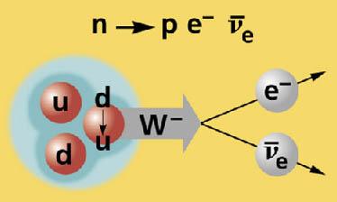 Fria neutroner sönderfaller En fri neutron sönderfaller via den svaga kraften mellan kvarkarna till en proton, en elektron och en anti neutrino på ~15 minuter (sk β sönderfall).