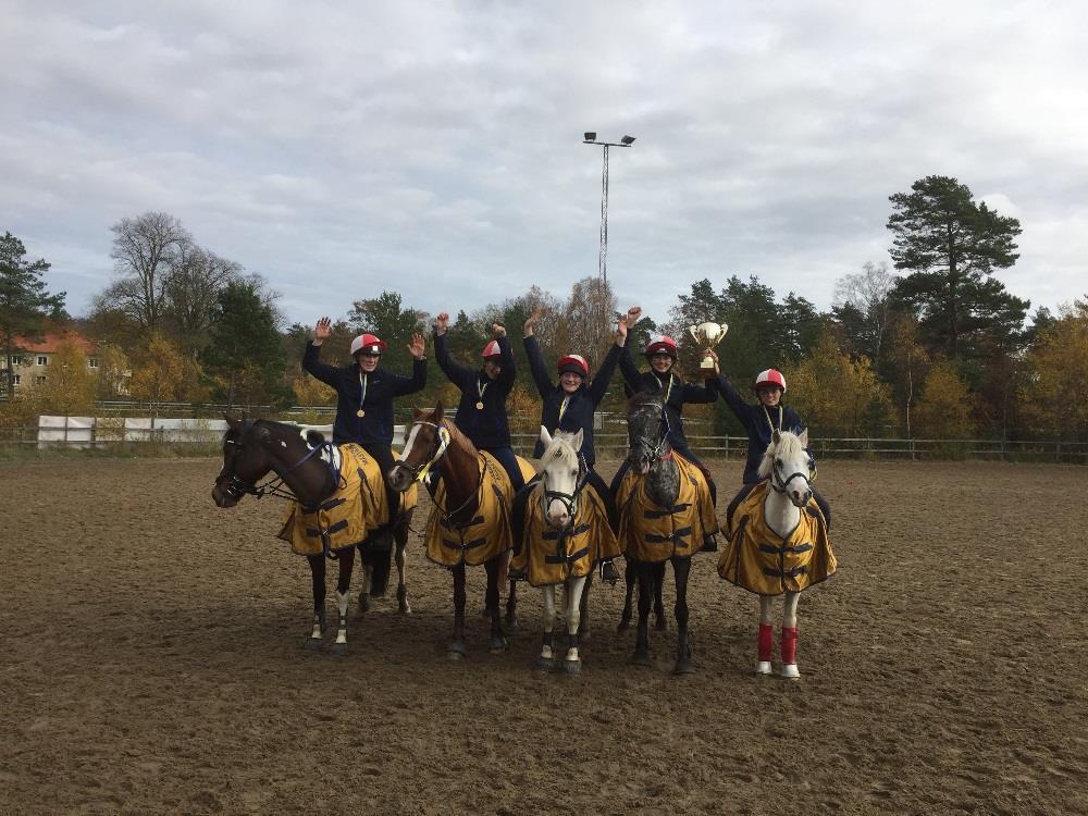 Junior SM vinnarna 2017 Grenledare Elin Schelander Gymkhana Tidigt på säsongen under Gothenburg Horse Show hölls en starter och linjedomarutbildning av Peter Dale med ett stort intresse.