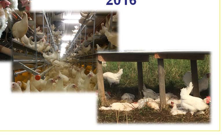 Äggs stämma 2016