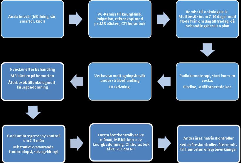 Figur 1 Ansökan från Cancercentrum,