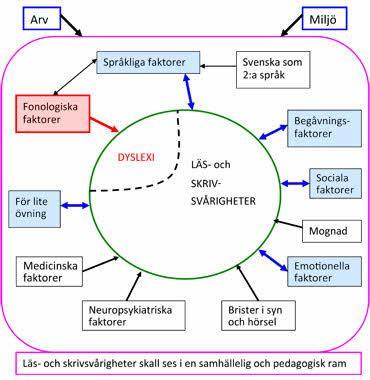 Teori relativt vanlig nedsättning och ungefär fem procent av Sveriges befolkning har diagnosen dyslexi (Myrberg, 2003).