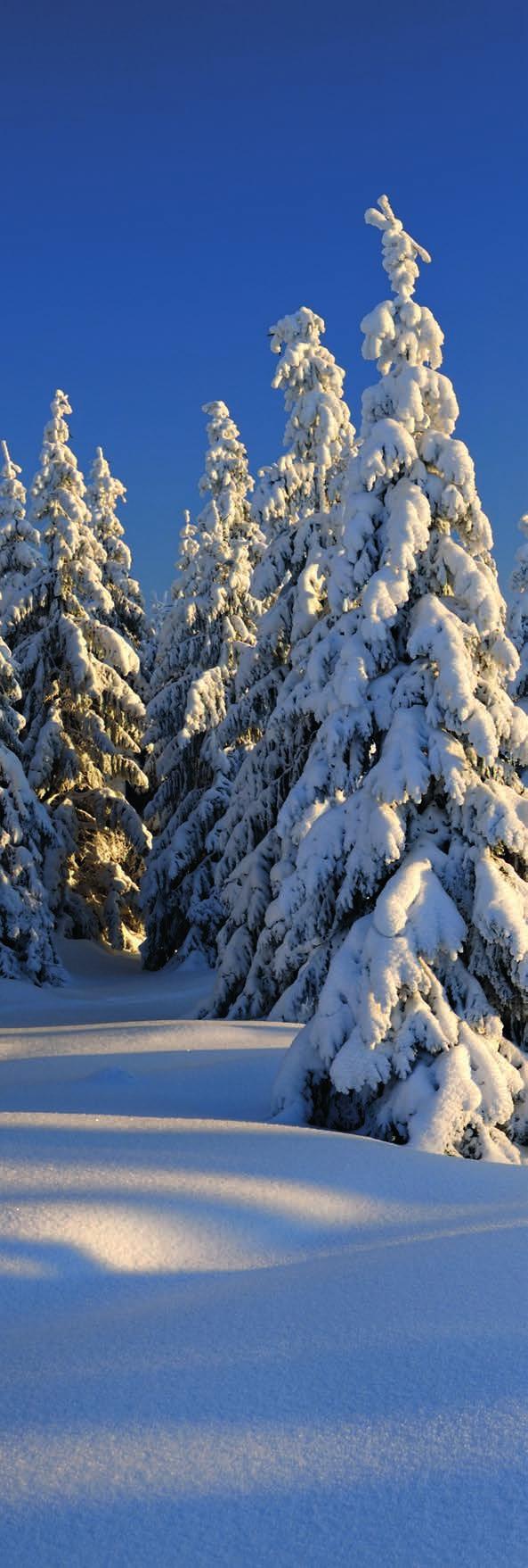 Har du tröttnat på att skotta bara för att få fram bilen en plötslig vintermorgon? I så fall är det dags att ta makten över vädret och bestämma dig för att göra snöarbetet enklare.