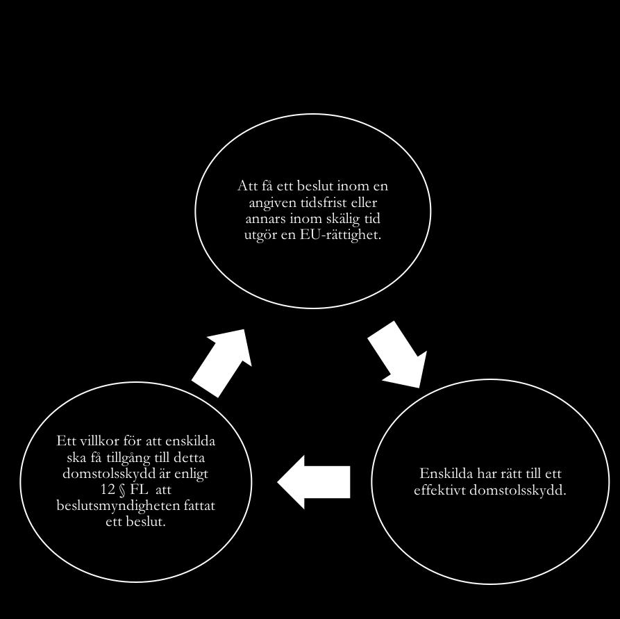 tillräckligt att enskilda enbart har tillgång till sekundära rättsmedel i form av en skadeståndstalan. Cirkelresonemanget kan illustreras med följande modell.
