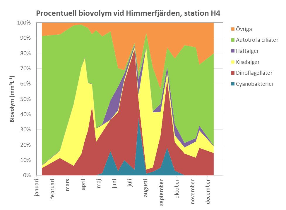 Fig. 5.2b. Olika växtplanktongruppers procentuella andel av den totala biovolymen vid station H4, 216. Kvävefixerande cyanobakterier under sommaren I figur 5.