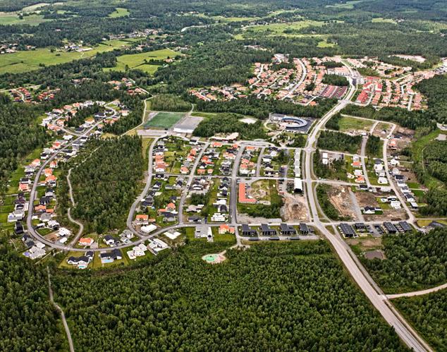 VAD INNEBÄR PROGRAMMET? Vad innebär programmet?