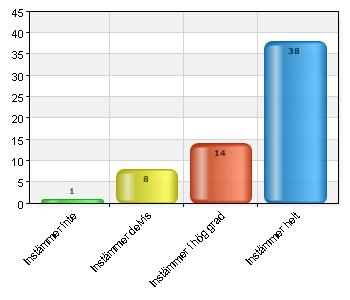 Instämmer inte 1 1,6 Instämmer delvis 8 13,1 Instämmer i hög grad 14 23 Instämmer helt 38 62,3 Verkligen. Alla var så förstående och frågade jag någonting så svarade dom. Det fanns inga dumma frågor.