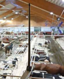 DeLaval har ett komplett sortiment av utgödslingar med produkter av bra kvalitet. Passa på att göra arbetet under betesperioden.