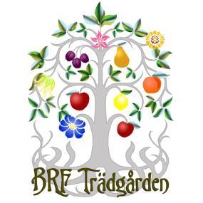 INFO-BLAD Bostadsrättsföreningen Trädgården, Februari 2018 (nr 1) (Tidigare Info-Blad kan läsas på föreningens webbportal: www.brftradgarden.