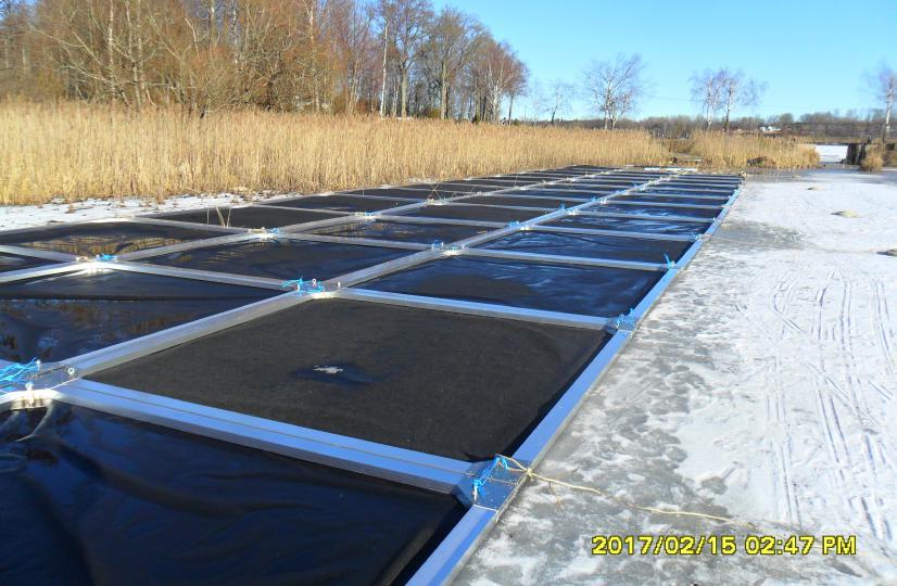 Vattenlevande rovdjur såsom vissa fiskar, fiskyngel, insekter med mera som orienterar sig med hjälp av synen får problem med att jaga och hitta föda.