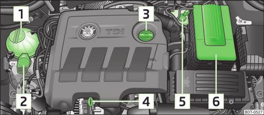 Motorrumsöversikt Kontrollera motoroljenivån Bild 158 Oljemtsticka Bild 157 1,6 l/77 kw TDI CR dieselmotor 1 2 3 4 5 6 Ls och beakta först den inledande informationen och skerhetsföreskrifterna på