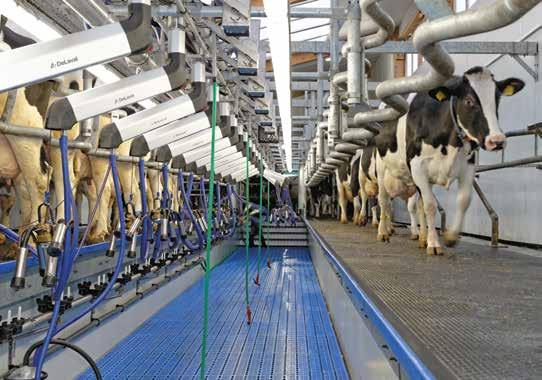 DeLaval introducerar MJÖLKNINGSSYSTEMET MidiLine ML3100 med swing-overfunktionalitet Kostnadseffektivt mjölkningssystem i premiumklass med kvalitet hela vägen Nyhet!