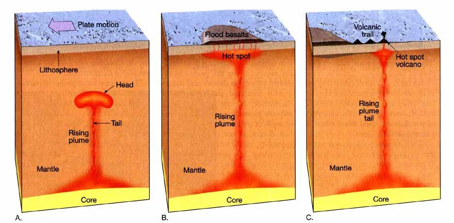 Hetfläckar eller hot spots Hetfläck är ställen i kontinentalplattorna där magma strömmar upp mot