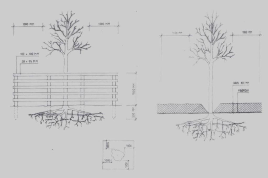 BILAGA 7 Anvisningar för skydd av träd vid byggarbetsplats Skydd av mark och vegetation Anläggningsägare/byggherre skall upprätta en etableringsplan, som visar hur den vegetation som kommer att