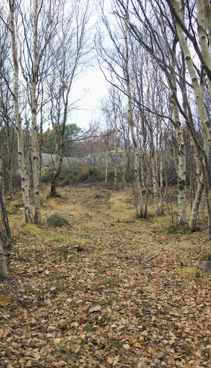 Styrsö 149, 437 och 439 inom Styrsö 1:104 m. fl.