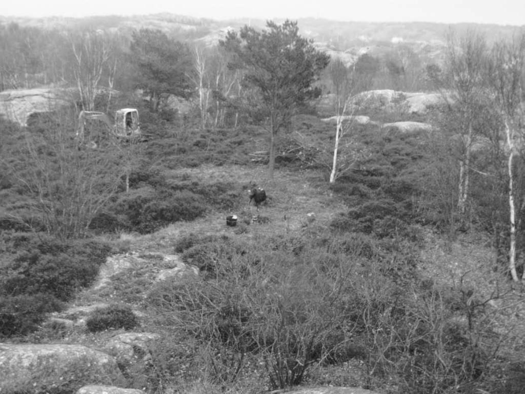 Ill. 7. Översikt över norra delen av Styrsö 439, mot nordost.