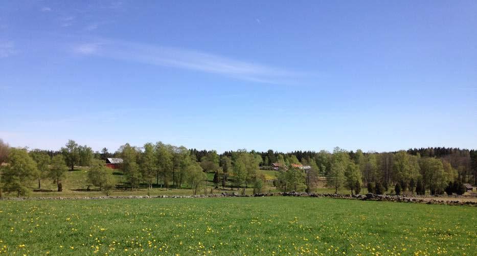 BILAGA 2 PLANERINGSFÖRUTSÄTTNINGAR Landskapet i Eksjö kommun Eksjö kommun ligger på det sydsvenska höglandet över högsta kustlinjen som här ligger cirka 100 meter över havet.