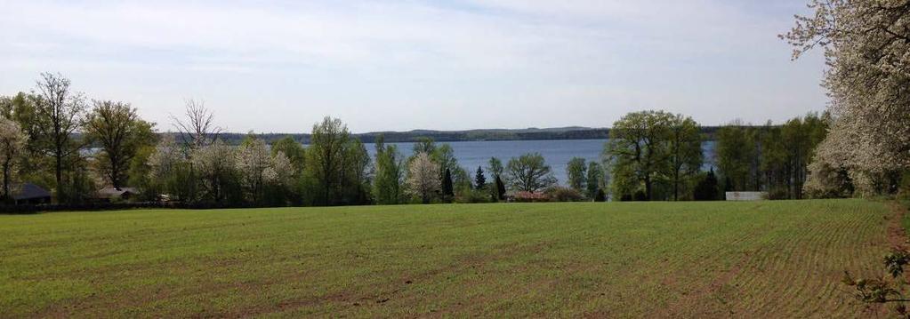 placeras i närliggande skogsmark.