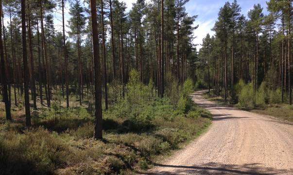 Höjderna varierar från 120 meter över havet som lägst öster om Mariannelund till runt 200 meter över havet på moränerna. Flera samhällen har vuxit fram utmed Brusaån.