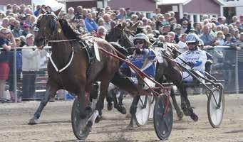 --0 Lubrno Giuseppe Å -- 00 -- Luguer Conrd, J 0-- -0- Mhony Jenny lä ÅR 0 -- --0 0 Mris Mime lä Å -- 0-0- Niklsson Mrkus lä J -- -- Nilsson John A Ö -- 0 -- Nordström Per J -- 0 -- Nygren Ptrik HD