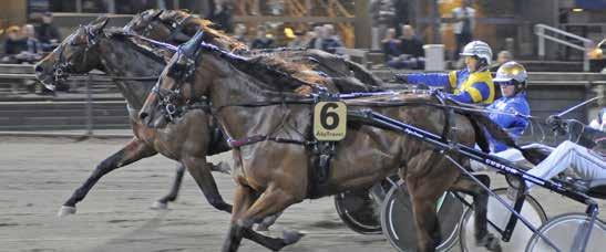 ÅBY DITAN b TART BANKOD TRIO TVILLING Quik Py Poklen - Treåringslopp ton 0 m -årig ston lägst 0.00 kr. 0 m. Autostrt. Pris:.000-.00-.000-.000-0.000-(.000)-(.000) kr.