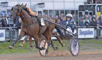 Blå/vit/grå, -deld, blå ärm&rev; blå Hultmn M År / - / 0, 0 F Hultmn Mrus Hultmn M År 0/ -0 / 0, 0 COMANCHE MOON (DE) *, L, AK,fu h.