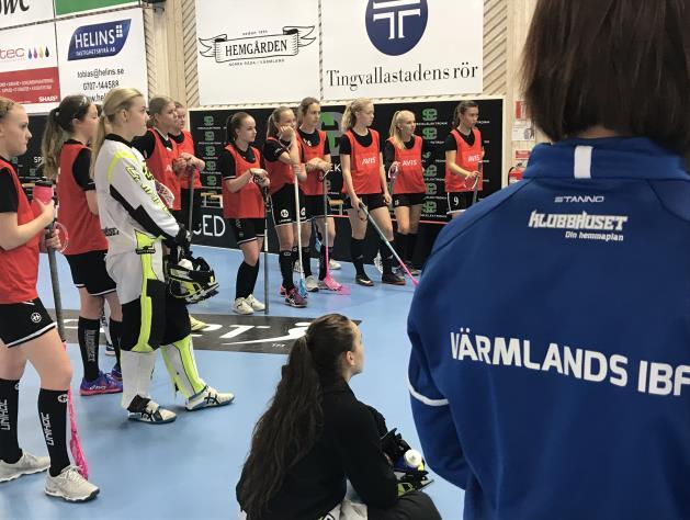 Styrelsen har under verksamhetsåret haft följande sammansättning: Helena Bruzelius Mikael Eskilsson Anna Bratt Madlen Karlsson Michael Walkert Kim Stjernius Jan-Erik Vaara Camilla Olsson ordförande