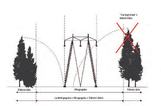 18 Magnetfält för aktuell ledning I det aktuella projektet finns inga boende inom utredningsområdet.