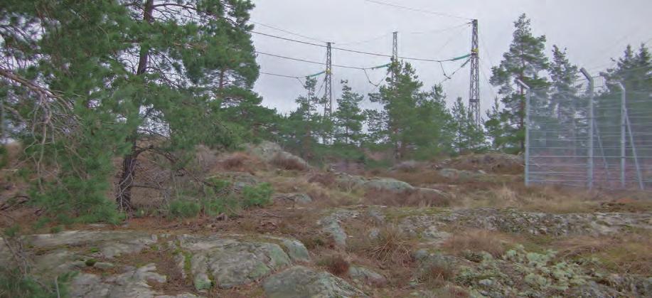 Påverkan och konsekvenser Inga överträdelser av gränsvärdet för Svenska kraftnäts magnetfältspolicy eller störande ljud vid bostäder bedöms uppstå på det aktuella avståndet.