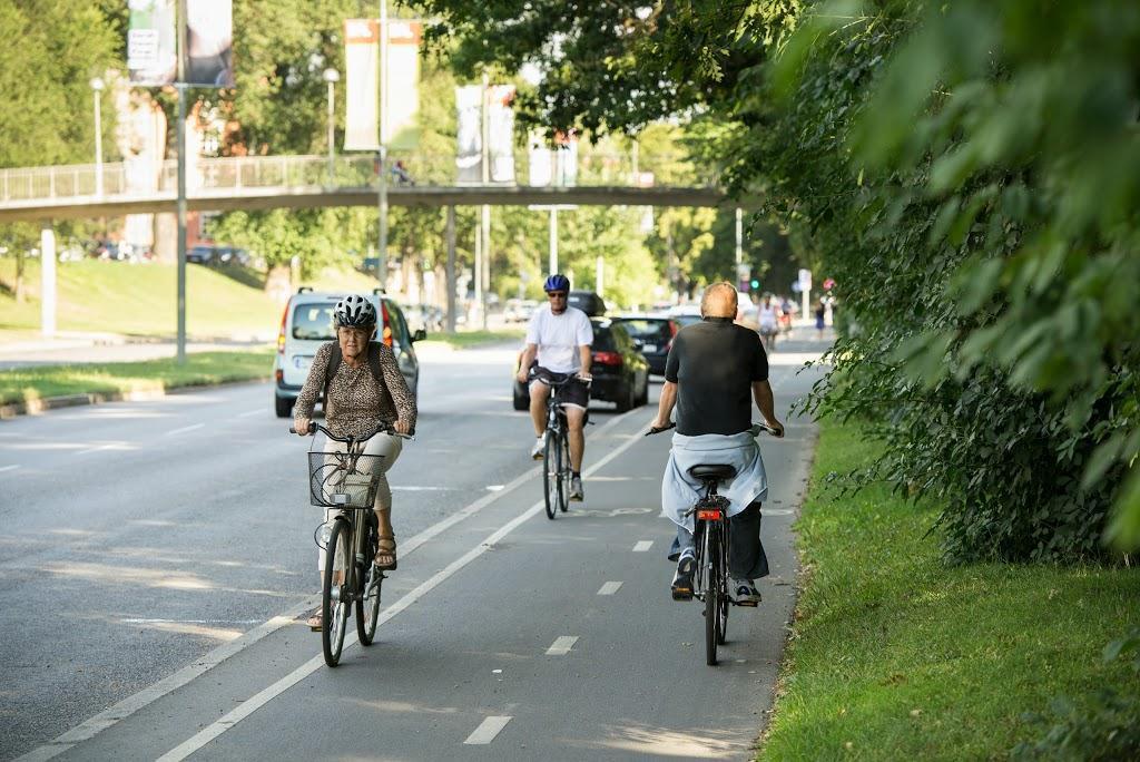 Cykelbanans bredd är 3,25 m inklusive skyddsremsan. Sträckan är 450 m lång (se bilaga och figur 5). På södra sidan ligger Rålambshovsparken vars växtlighet ofta inkräktar på cykelbanan.